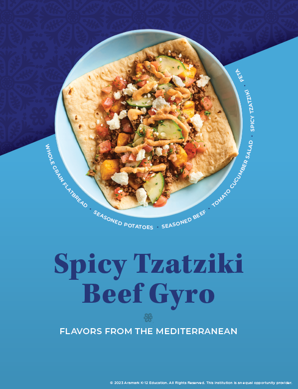 Spicy Tzatziki Beef Gyro